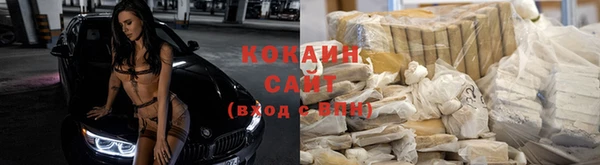 трава Богданович