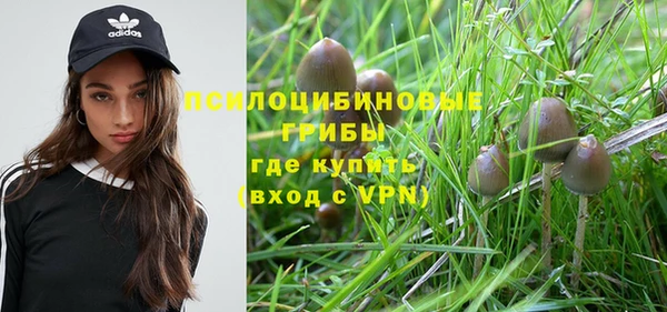 меф Богородицк