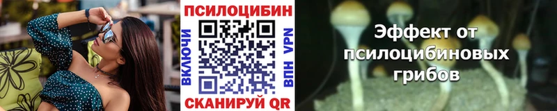 Купить закладки  Арамиль  Галлюциногенные грибы мицелий 